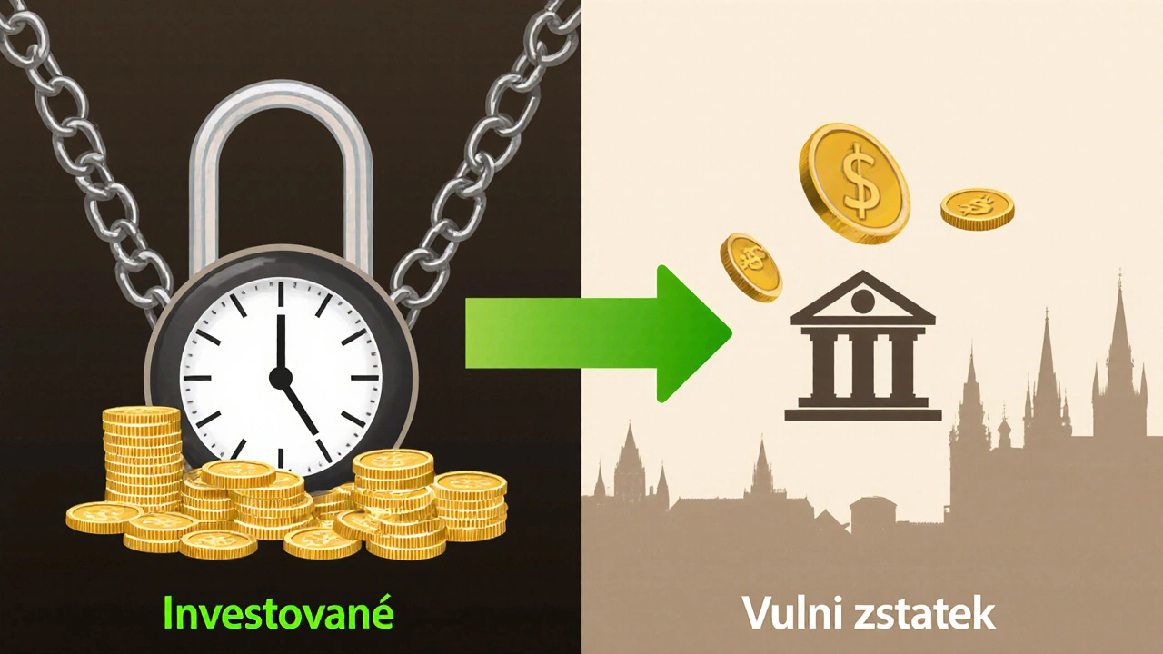 Rozdělení investovaných a volných peněz na Investown platformě.