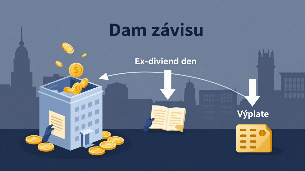 Grafické znázornění cyklu dividend: společnost vyplácí dividendy akcionářům s důležitými daty.