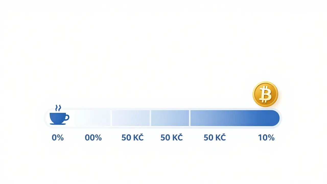 Postupné plnění průběžné investice 50 Kč týdně do bitcoínů