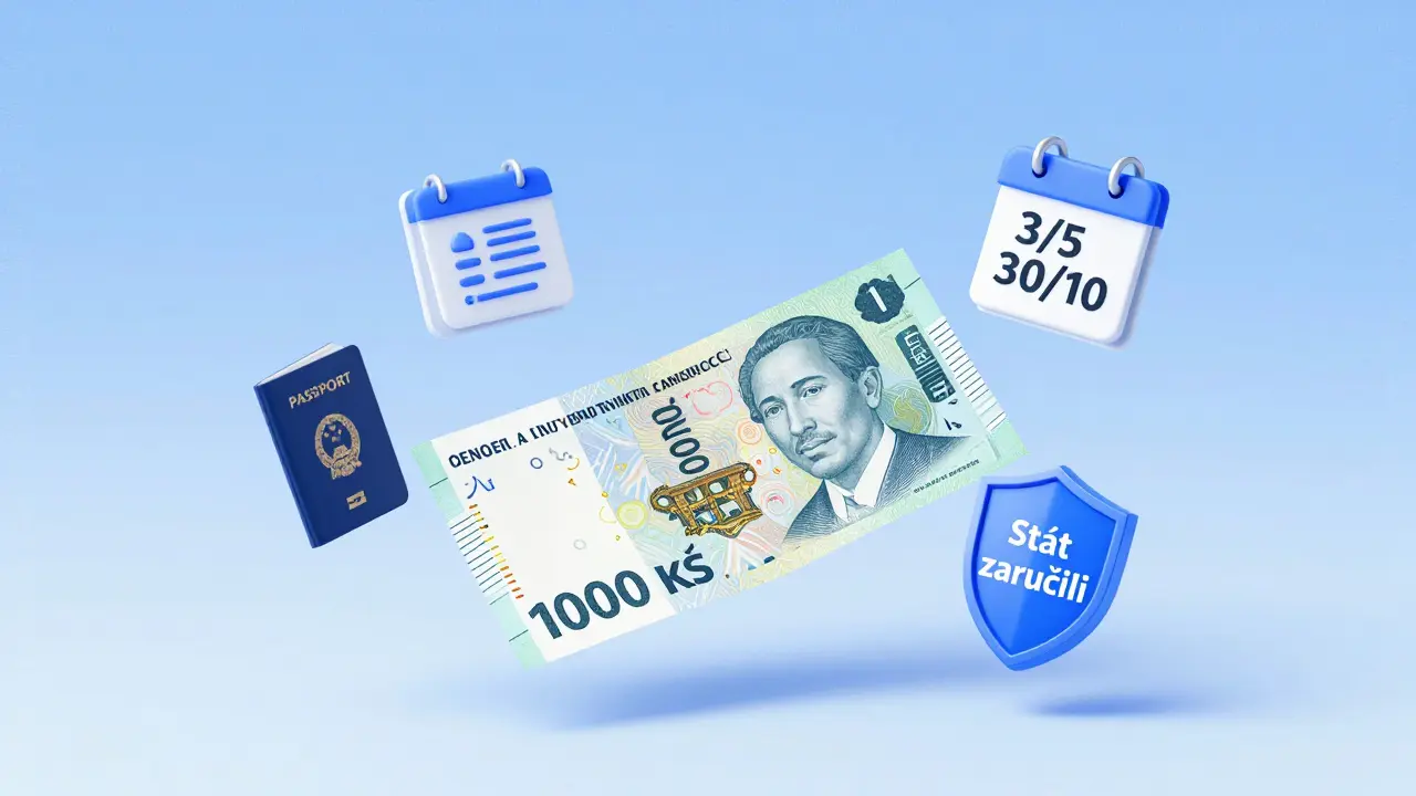 Jedna státní dluhopisová poukázka s ikonami bezpečnosti a přístupnosti, v klidném pozadí.